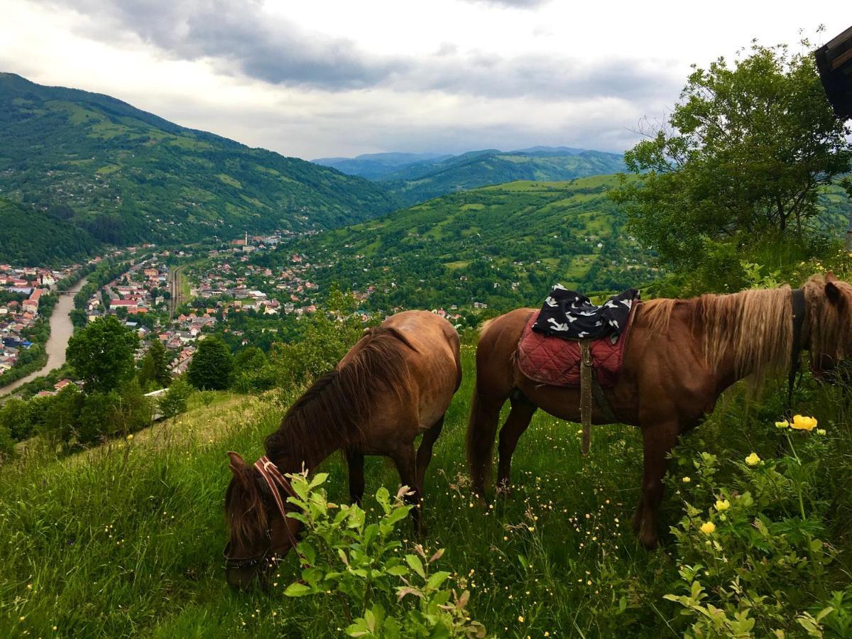 Vip-Domyk Rachiv Esterno foto